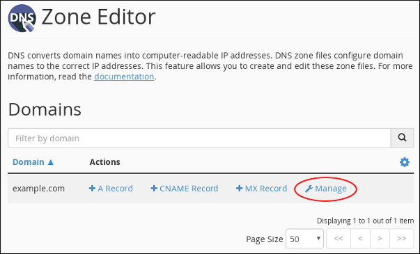 cPanel Manage Zone Editor